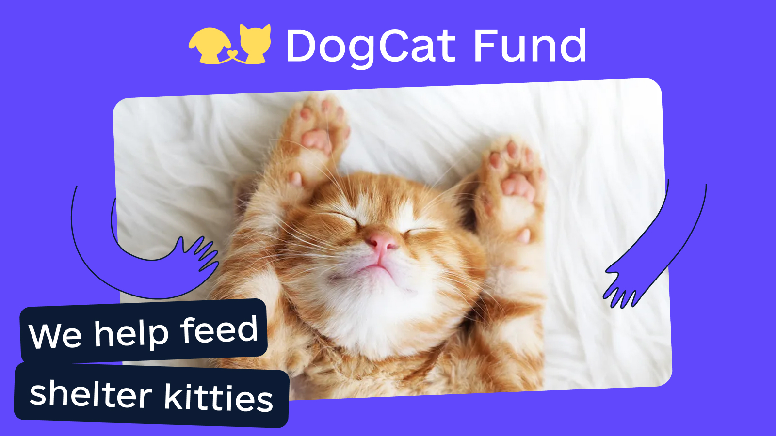 DogCat Fund